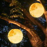 Elif Modern Led Outdoor Lamp Pendant Lamp Gold Metal Resin Hall Outdoor