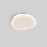 Flush Mount Ceiling Light