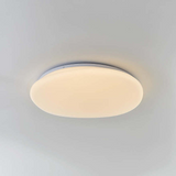 Flush Mount Ceiling Light