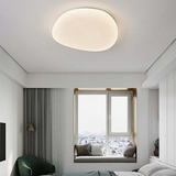 Flush Mount Ceiling Light