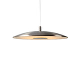 Iron Nickel Led Pendant Lights