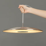 Iron Nickel Led Pendant Lights