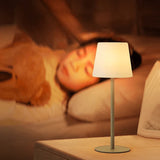 Modern Led Cordless Table Lamp