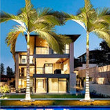 Outdoor Spotlight For Tree