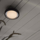 Outdoor Wall Lamp/ Flush Mount Ceiling Light