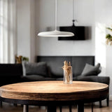 Skandinavian Style Pendant Light