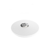 Smart Modern Rgb Ceiling Lamp