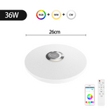 Smart Modern Rgb Ceiling Lamp