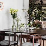 Solara Pendant Light