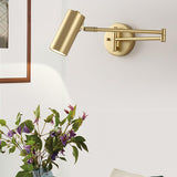 Swing Arm Wall Lamp
