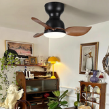 Trailblazer 18" ceiling fan light