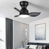 Trailblazer 18" ceiling fan light