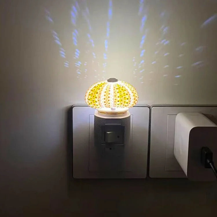 DIY Sea Urchin Night Light