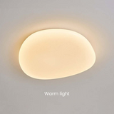 Flush Mount Ceiling Light