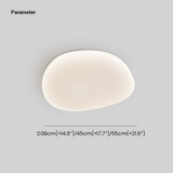 Flush Mount Ceiling Light