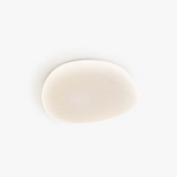 Flush Mount Ceiling Light