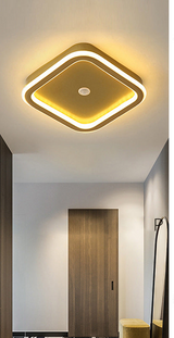 Human Pir Motion Sensor Led Ceiling Light