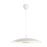Iron Nickel Led Pendant Lights