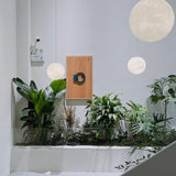 Moon pendant light