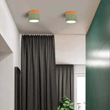 Nordic Cylinder Led Hallway Ceiling Lights