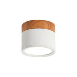 Nordic Cylinder Led Hallway Ceiling Lights