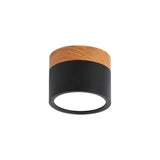 Nordic Cylinder Led Hallway Ceiling Lights