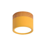 Nordic Cylinder Led Hallway Ceiling Lights