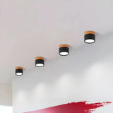 Nordic Cylinder Led Hallway Ceiling Lights