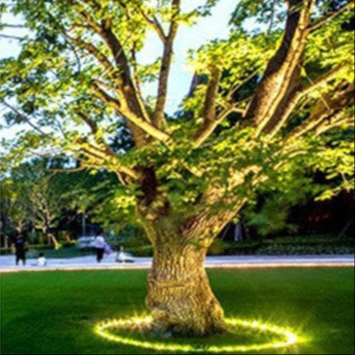 Outdoor Spotlight For Tree