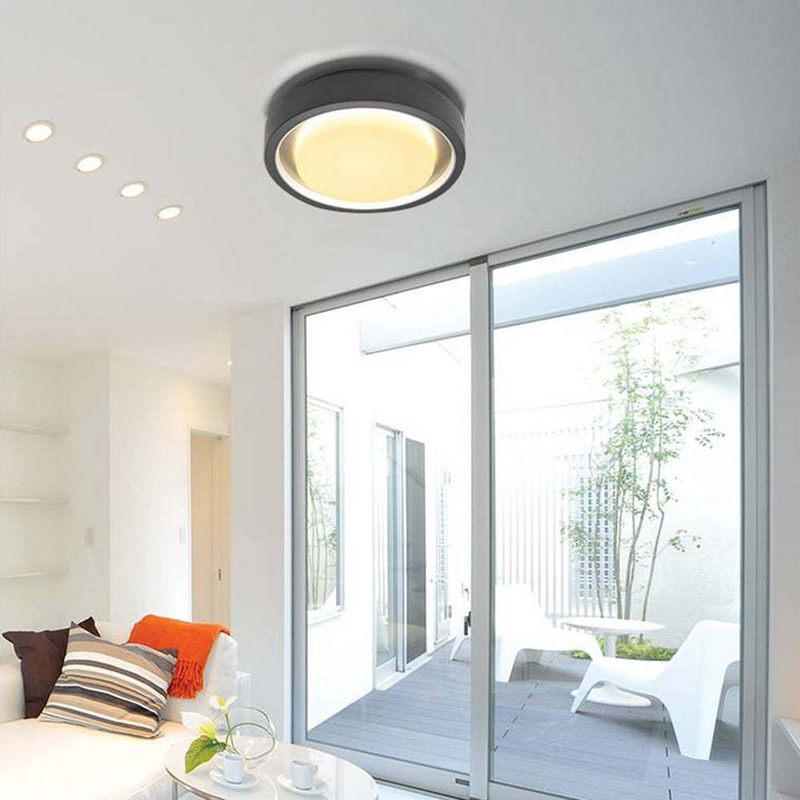 Outdoor Wall Lamp/ Flush Mount Ceiling Light