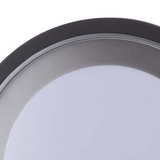 Outdoor Wall Lamp/ Flush Mount Ceiling Light