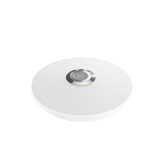 Smart Modern Rgb Ceiling Lamp