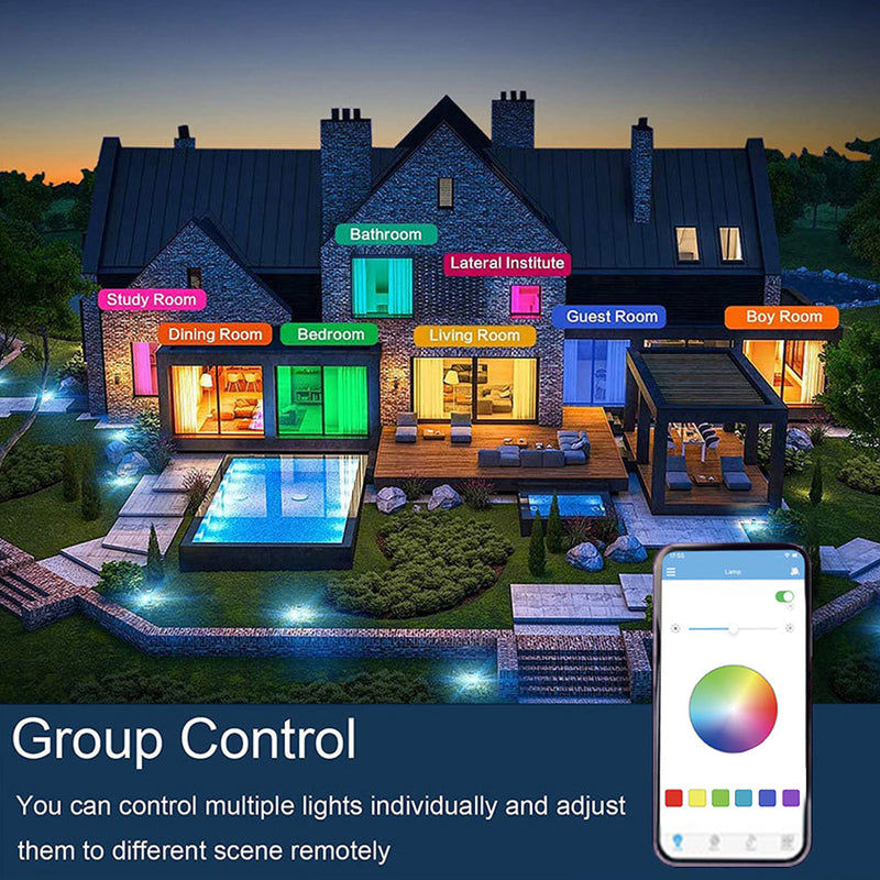 Smart Modern Rgb Ceiling Lamp