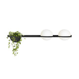 Solstice Outdoor Wall Light