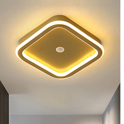 Human PIR Motion Sensor LED Ceiling Light